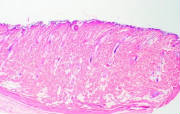 P7300046-1.jpg